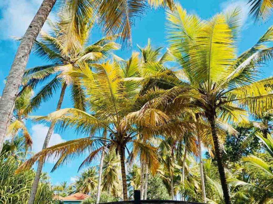 Palm House - Luxury Villa - Samana - Ocean Front Sanchez Ngoại thất bức ảnh