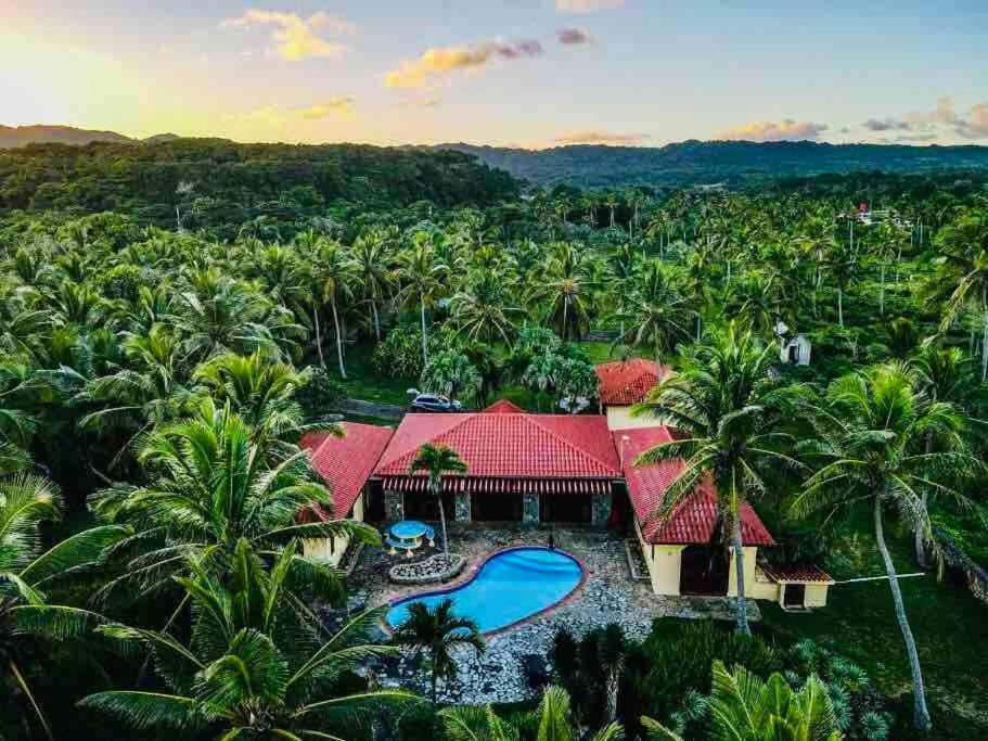 Palm House - Luxury Villa - Samana - Ocean Front Sanchez Ngoại thất bức ảnh