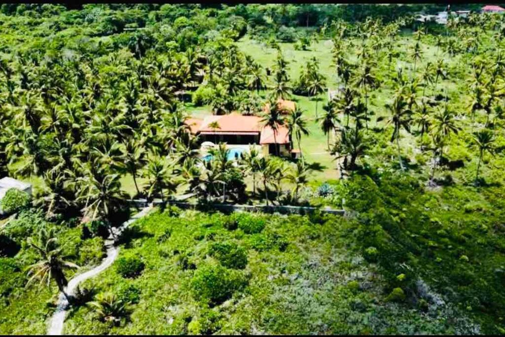 Palm House - Luxury Villa - Samana - Ocean Front Sanchez Ngoại thất bức ảnh