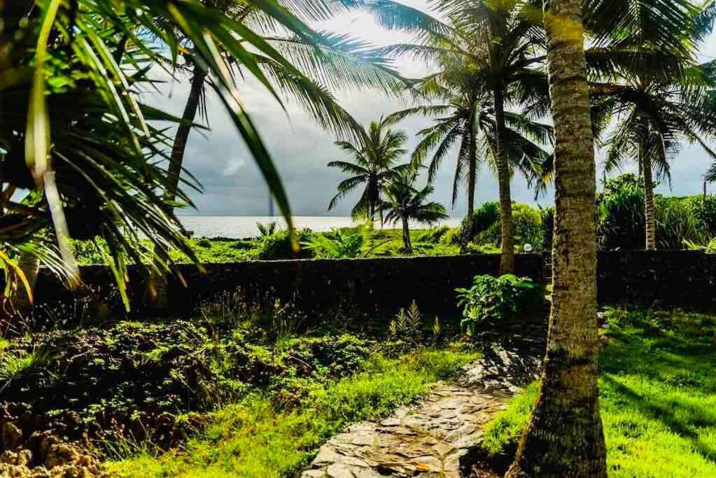 Palm House - Luxury Villa - Samana - Ocean Front Sanchez Ngoại thất bức ảnh