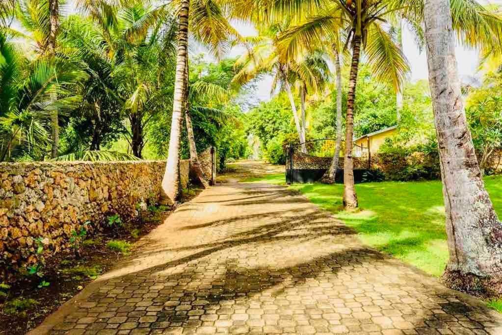 Palm House - Luxury Villa - Samana - Ocean Front Sanchez Ngoại thất bức ảnh