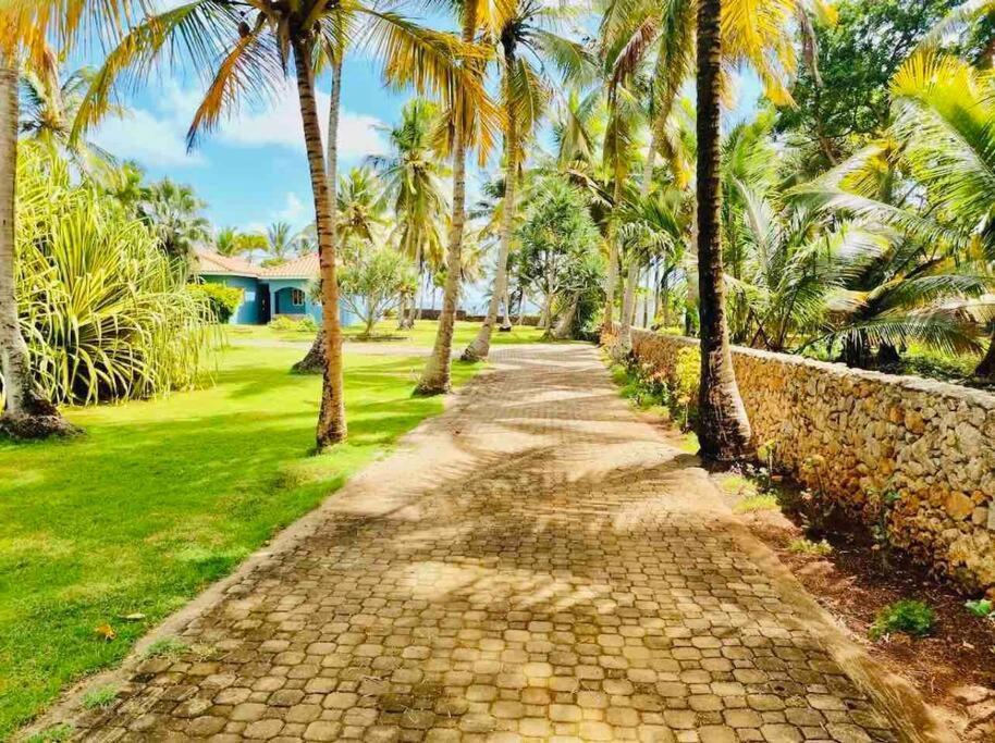 Palm House - Luxury Villa - Samana - Ocean Front Sanchez Ngoại thất bức ảnh
